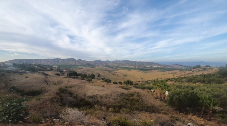 Málaga - Alhaurín de la Torre - 11282m2