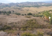 Terreno no urbanizable en venta en Alhaurín de la Torre ref: TR54034 foto