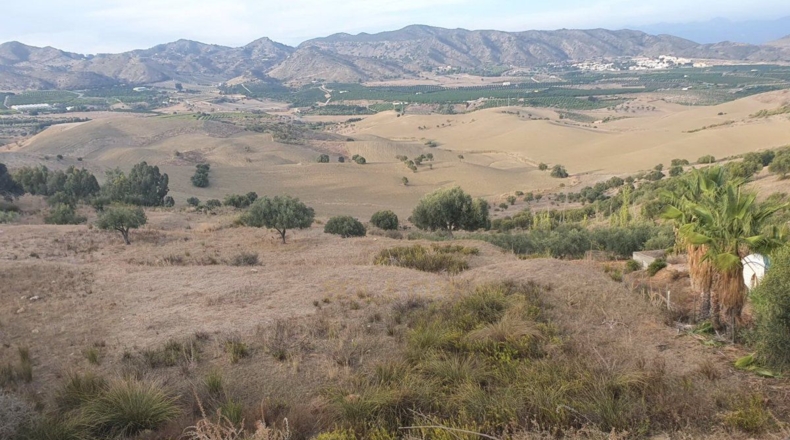 Málaga - Alhaurín de la Torre - 11282m2