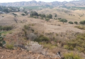 Terreno no urbanizable en venta en Alhaurín de la Torre ref: TR54034 foto