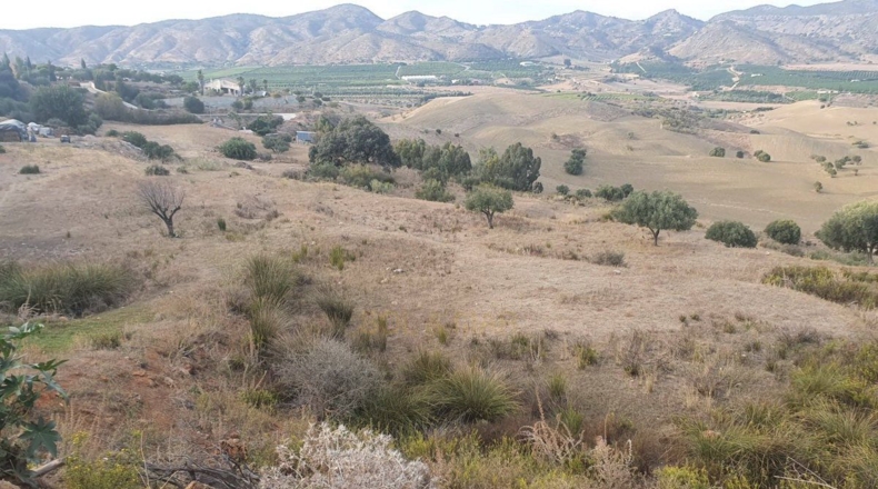 Málaga - Alhaurín de la Torre - 11282m2