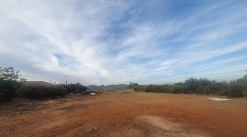 Málaga - Alhaurín de la Torre - 11282m2