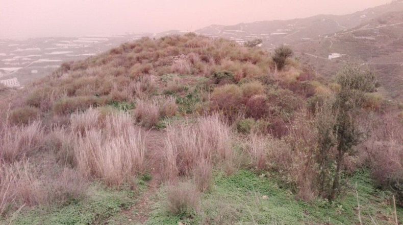 Málaga - Algarrobo Costa - 8784m2