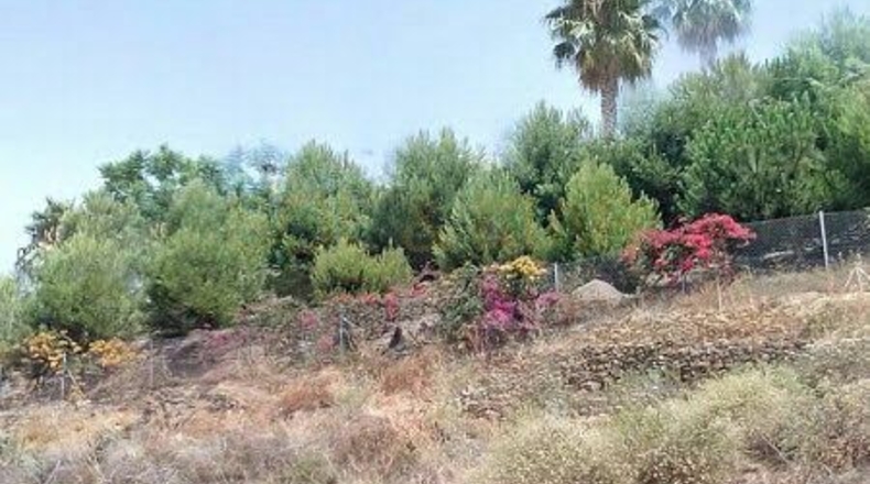 Málaga - Arenas - 3111m2