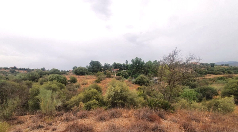 Málaga - Málaga - 3000m2