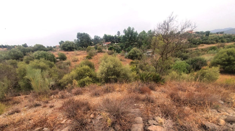 Málaga - Málaga - 3000m2