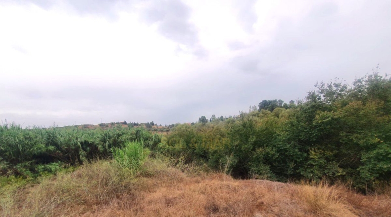 Málaga - Málaga - 3000m2