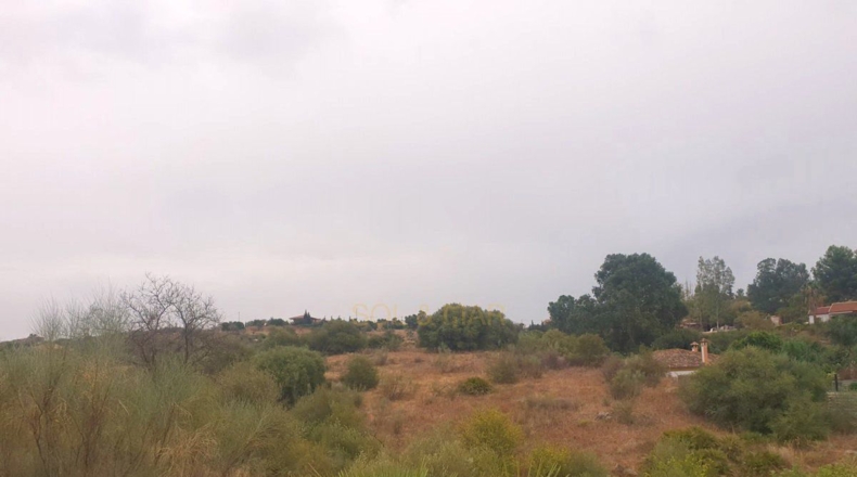 Málaga - Málaga - 3000m2