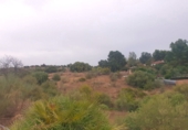 Finca rústica en venda a Màlaga ref.: TR62463 foto