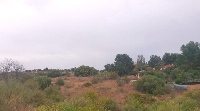 Málaga - Málaga - 3000m2
