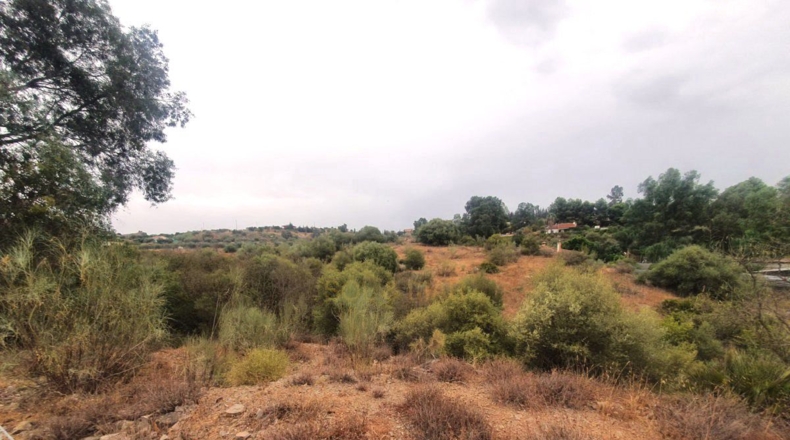 Málaga - Málaga - 3000m2