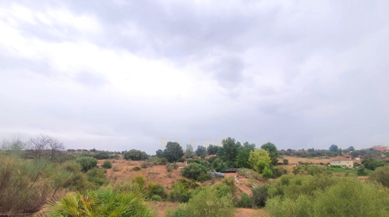 Málaga - Málaga - 3000m2