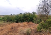 Finca rústica en venda a Màlaga ref.: TR62463 foto