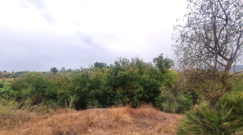 Málaga - Málaga - 3000m2