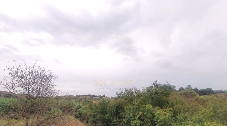 Málaga - Málaga - 3000m2