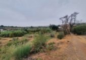 Finca rústica en venda a Màlaga ref.: TR63319 foto