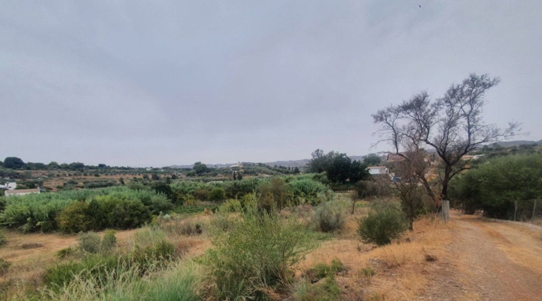 Málaga - Málaga - 3500m2