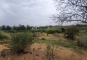 Finca rústica en venda a Màlaga ref.: TR63319 foto