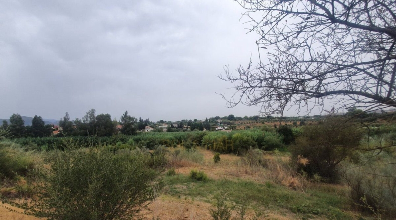 Málaga - Málaga - 3500m2