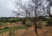 Finca rústica en venda a Màlaga ref.: TR63319 foto