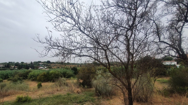 Málaga - Málaga - 3500m2