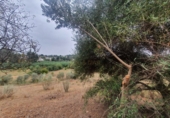 Finca rústica en venda a Màlaga ref.: TR63319 foto