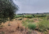 Finca rústica en venda a Màlaga ref.: TR63319 foto