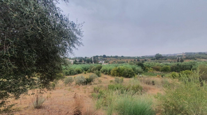 Málaga - Málaga - 3500m2