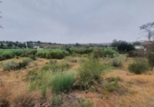 Finca rústica en venda a Màlaga ref.: TR63319 foto