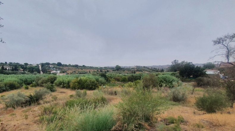 Málaga - Málaga - 3500m2