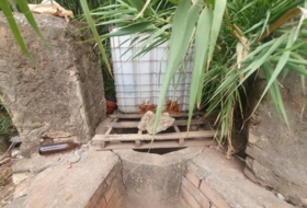 Foto 4