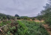 Finca rústica en venda a Màlaga ref.: TR63318 foto