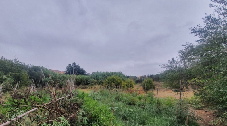 Málaga - Málaga - 3500m2