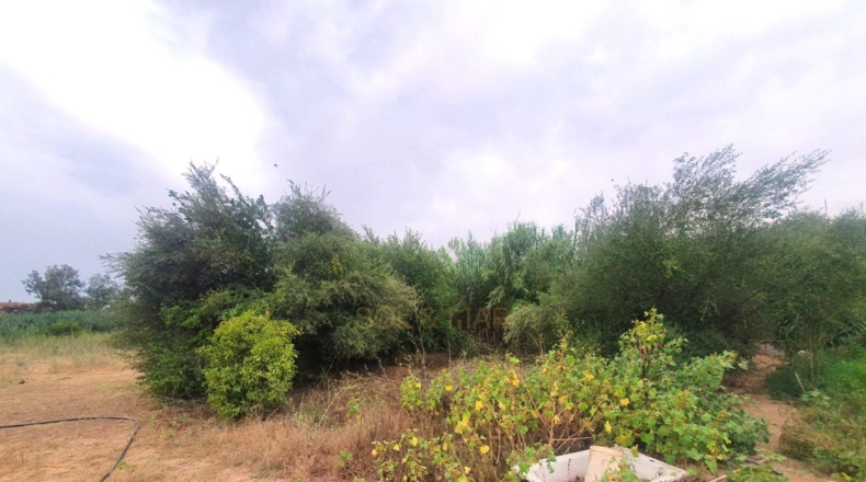 Málaga - Málaga - 3500m2