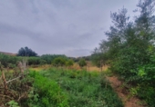Finca rústica en venda a Màlaga ref.: TR63318 foto