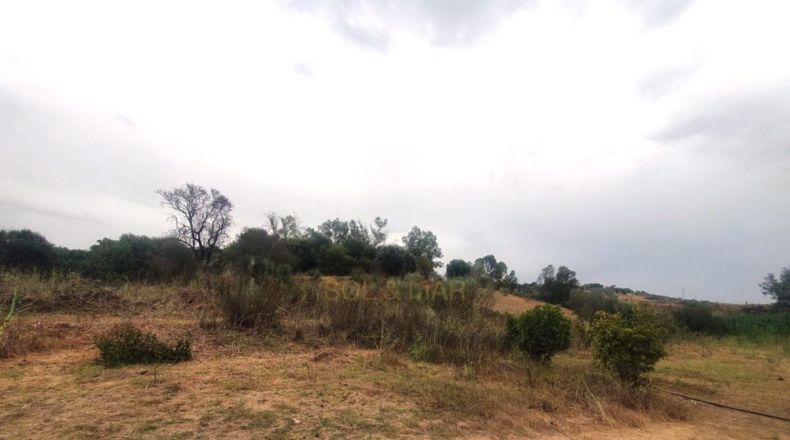 Málaga - Málaga - 3500m2