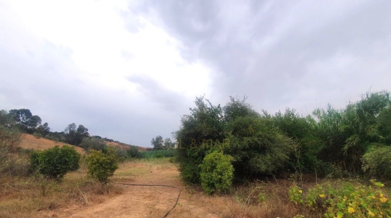 Málaga - Málaga - 3500m2