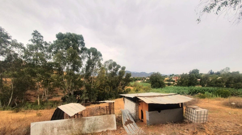 Málaga - Málaga - 2500m2