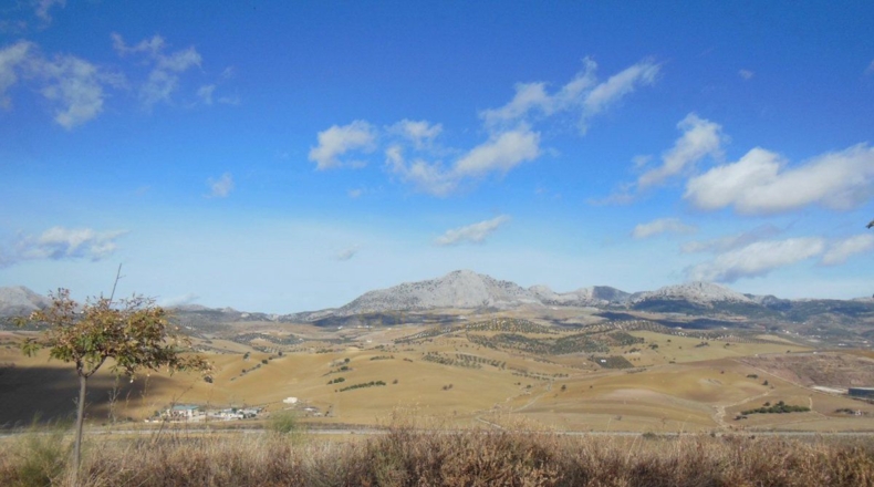 Málaga - Casabermeja - 825m2