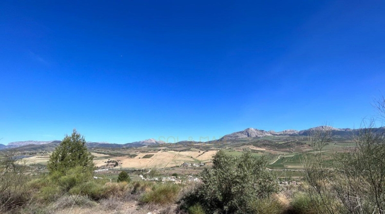 Málaga - Casabermeja - 825m2