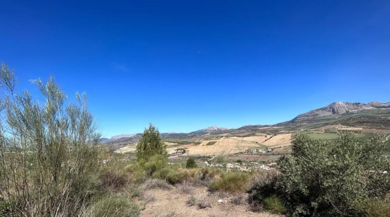 Málaga - Casabermeja - 825m2