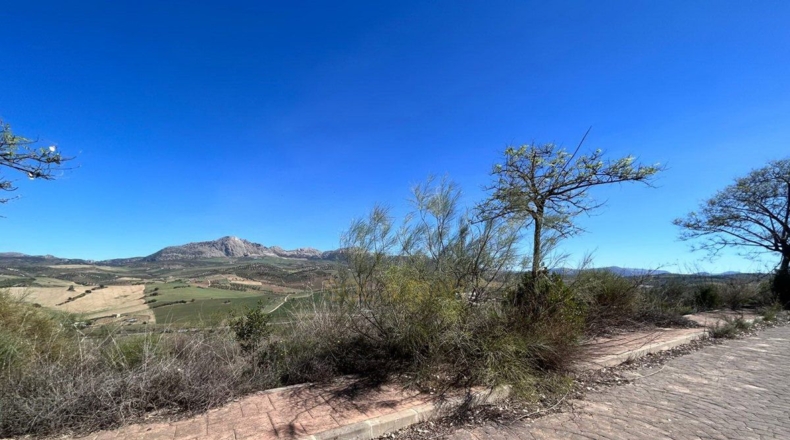 Málaga - Casabermeja - 825m2