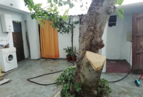 Priego de Córdoba 300&nbsp;m² 
