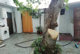 Priego de Córdoba 300&nbsp;m² 