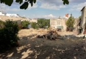 Casa de poble en venda a Priego de Córdoba ref.: TR98546 foto