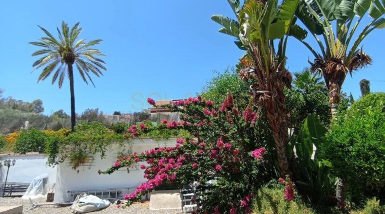 Málaga - Álora - 3700m2