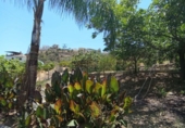 Finca rústica en venda a Álora ref.: TR199169 foto