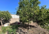 Finca rústica en venda a Álora ref.: TR277049 foto