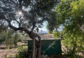 Finca rústica en venda a Álora ref.: TR277049 foto