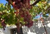 Finca rústica en venda a Álora ref.: TR277049 foto
